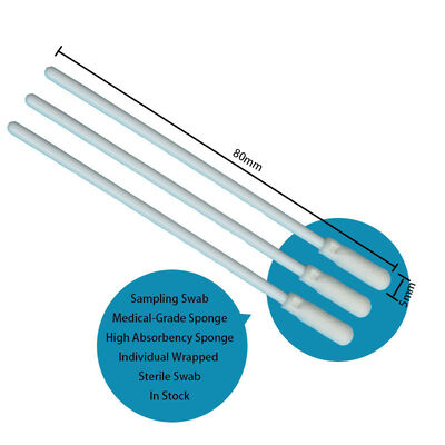 8 cm wegwerpwitte PP-stick Steriele schuimspits Swab Oppervlakte bemonstering Swab oraal Swab Proefproefverzameling Swab met individuele verpakking