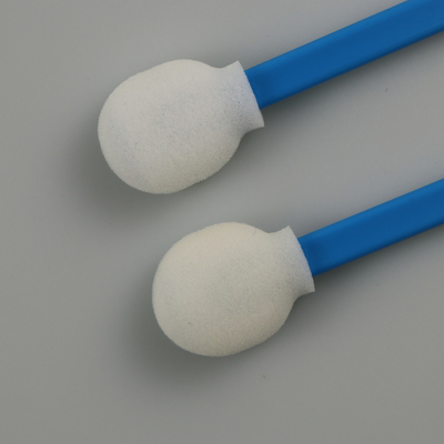 Lolly om Spons Hoofd Beschikbaar Pluksel - vrije Zwabbers Blauwe Stok