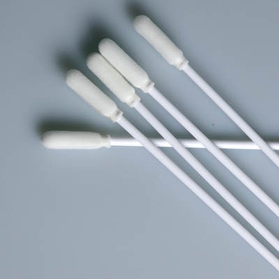 Pp-Uiteinde van het Stok het Steriele Schuim, de Zwabber van de Specimeninzameling
